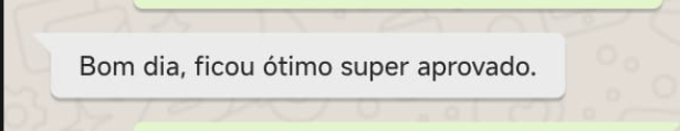 Depoimento de Ana Costa enviado por WhatsApp